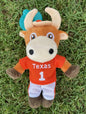 TEXAS Longhorn BEVO